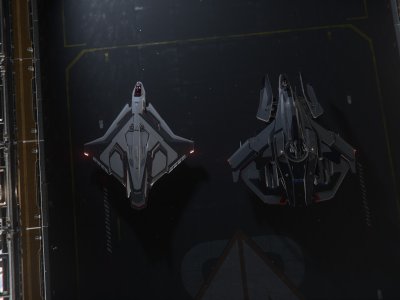 Anvil F8c Lightning & Aegis Firebird